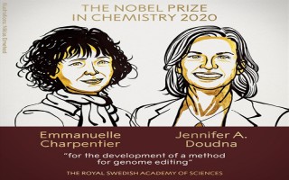 Hai nhà khoa học nữ nhận giải Nobel Hóa học 2020